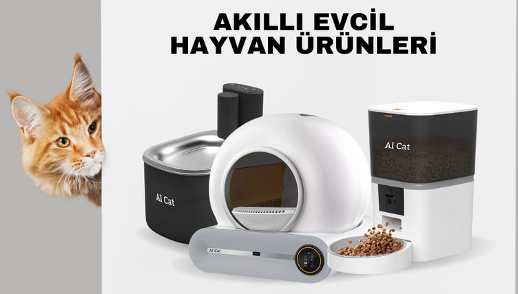 akilli evcil