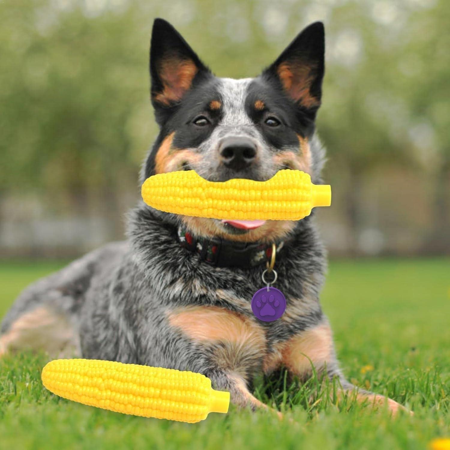 Sesli%20Mısır%20Köpek%20Oyuncağı%20