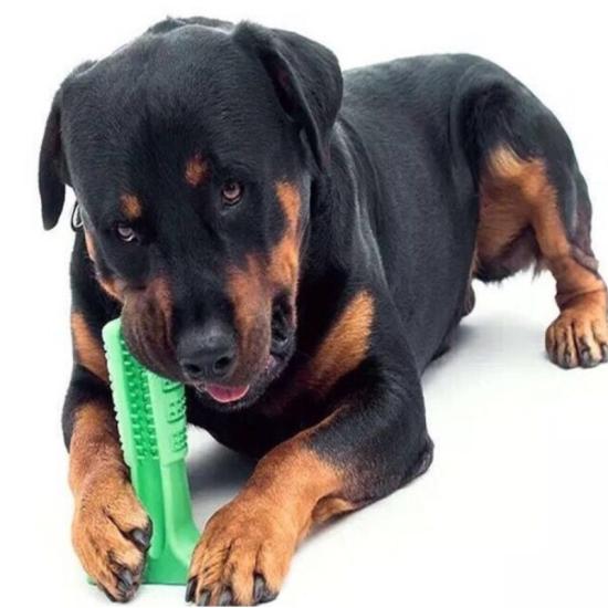 Köpek Diş Kaşıma Fırçası