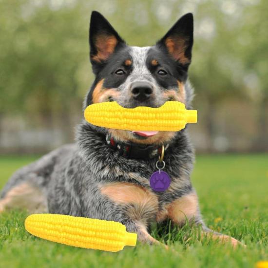 Sesli Mısır Köpek Oyuncağı 